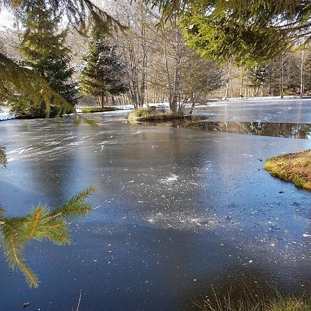 Insolite Chalet De Peche Serenite - Bien Etre Ban-sur-Meurthe-Clefcy Buitenkant foto