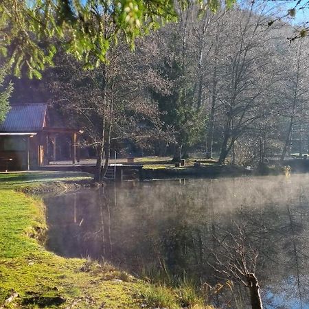 Insolite Chalet De Peche Serenite - Bien Etre Ban-sur-Meurthe-Clefcy Buitenkant foto