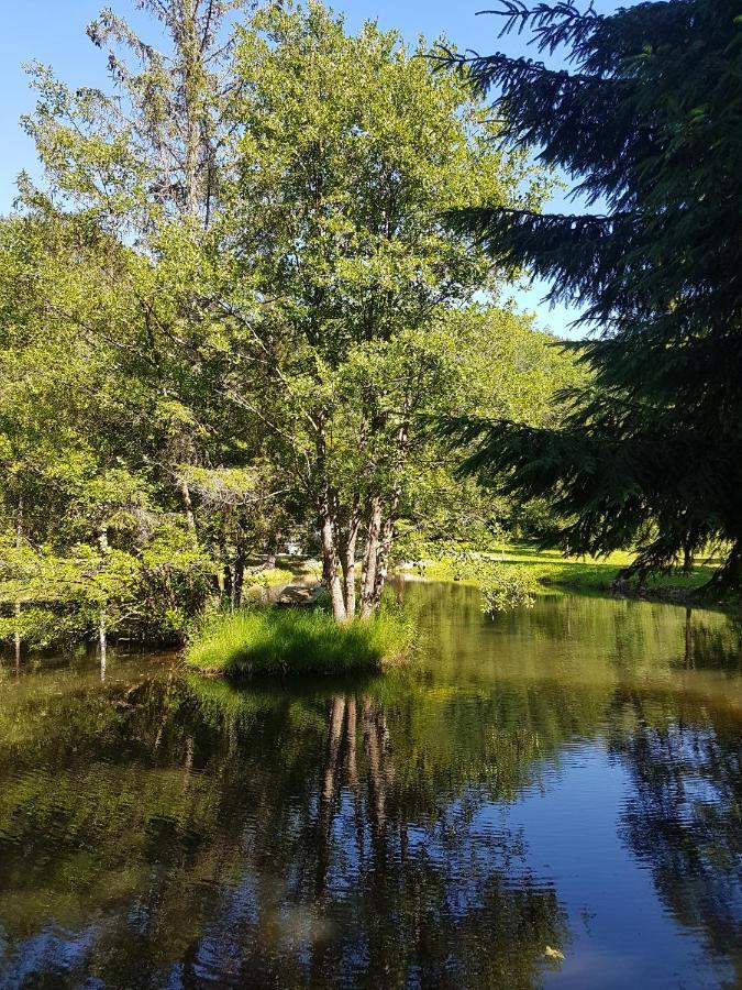 Insolite Chalet De Peche Serenite - Bien Etre Ban-sur-Meurthe-Clefcy Buitenkant foto
