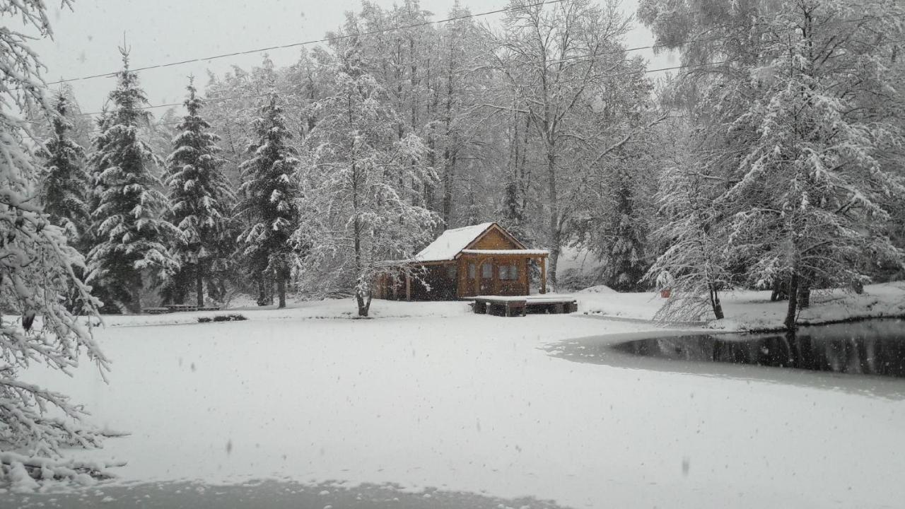 Insolite Chalet De Peche Serenite - Bien Etre Ban-sur-Meurthe-Clefcy Buitenkant foto