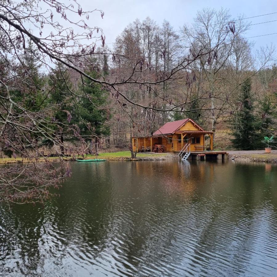 Insolite Chalet De Peche Serenite - Bien Etre Ban-sur-Meurthe-Clefcy Buitenkant foto