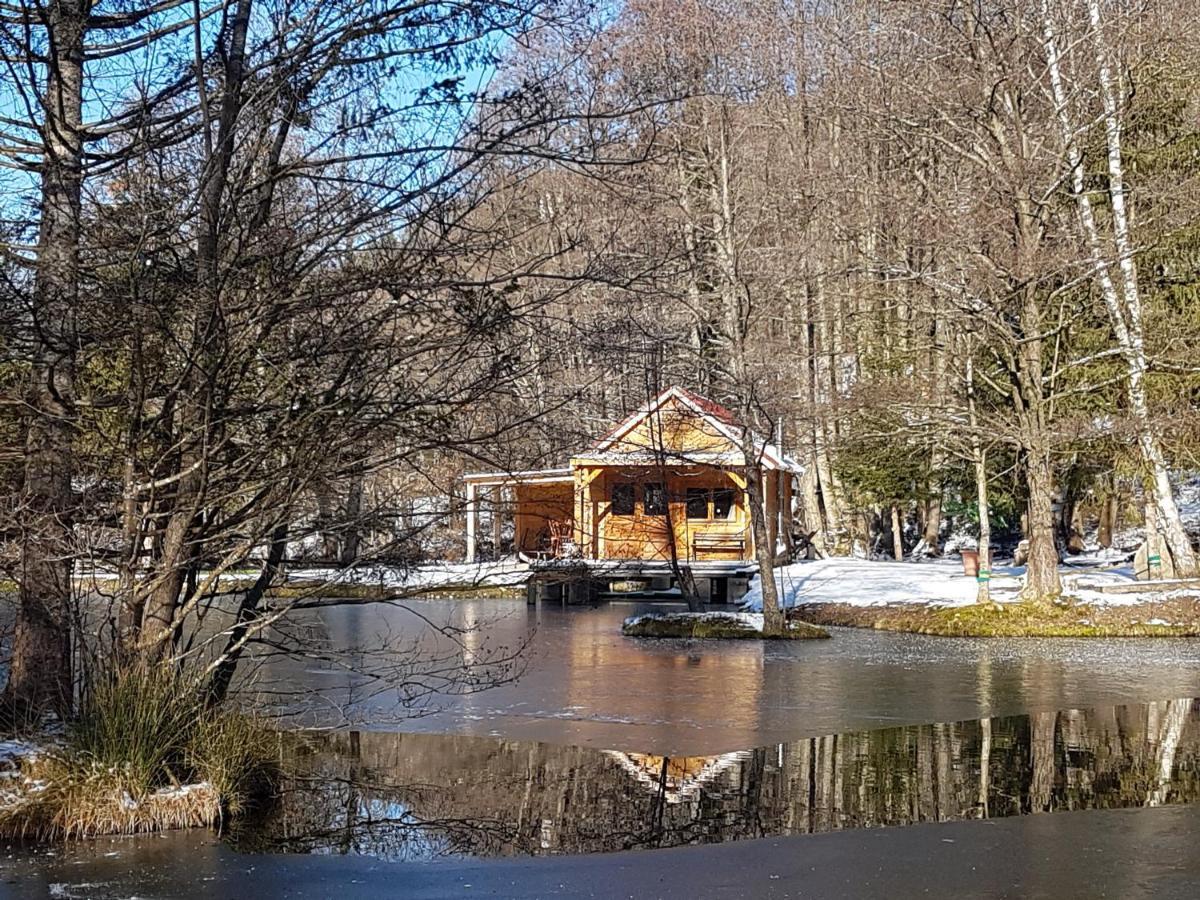 Insolite Chalet De Peche Serenite - Bien Etre Ban-sur-Meurthe-Clefcy Buitenkant foto